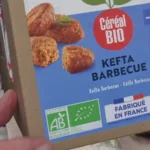 Kefta végétale trempée dans une sauce blanche au skyr, mangue et menthe hachée.